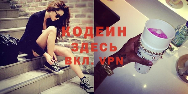 спайс Няндома