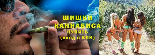 спайс Няндома