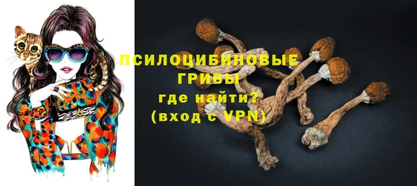 спайс Няндома